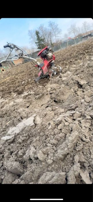 Prestez servicii la domiciliu in judetul iasi si vaslui cu motocultorul si cosesc iarba cu motocoasa