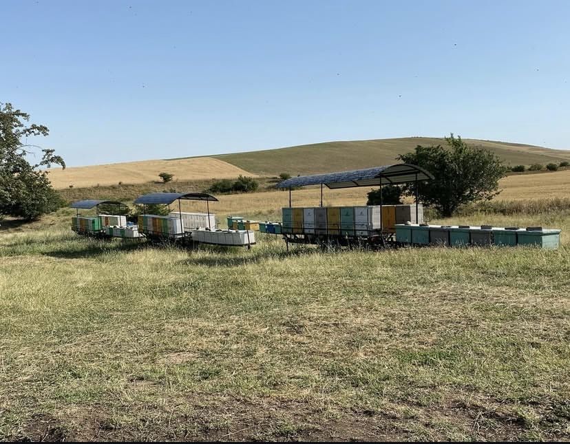 Продается Пасека Прицепы