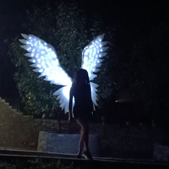 Веер диодный под заказ