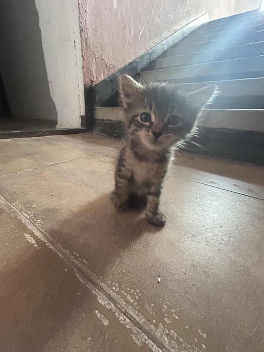 ANUNȚ OFICIAL – Se fac angajari