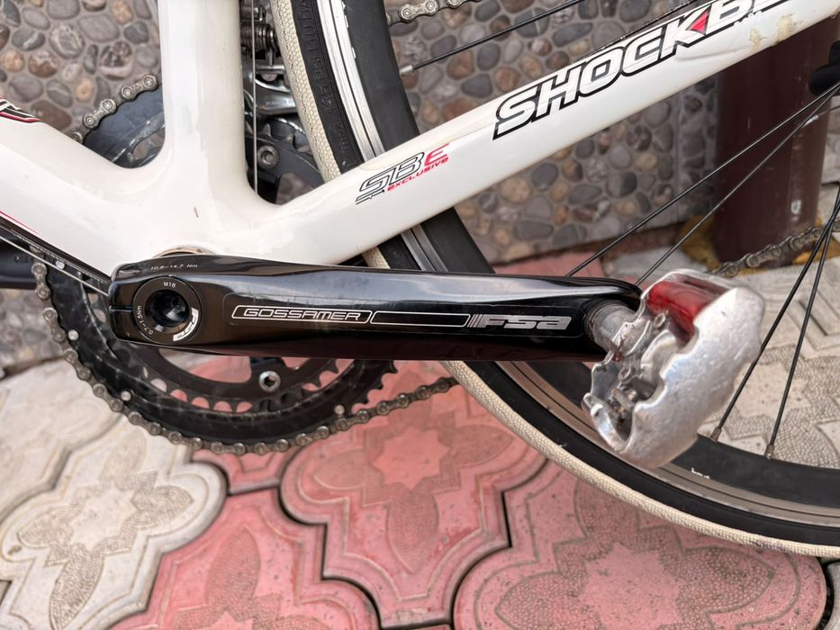 Cursiera Full Carbon CAMPAGNOLO VELOCE, Ritchey, 20 viteze, stare impecabila