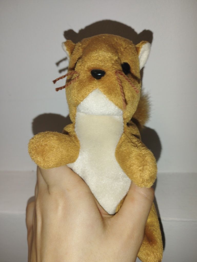 Nuts best sale beanie baby