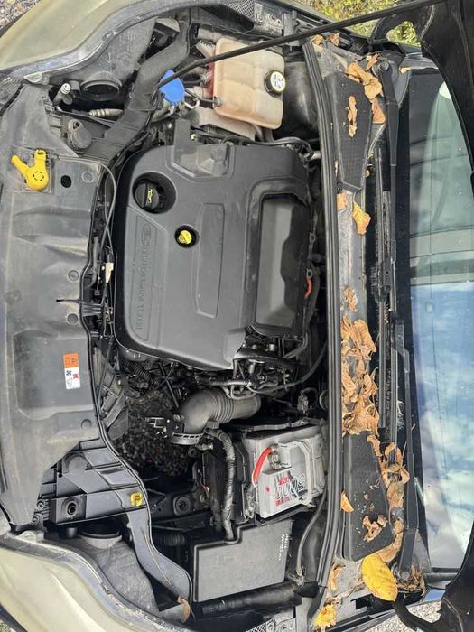 Dezmembrari / Dezmembrez / Piese Ford Focus 3 (2010–2018)