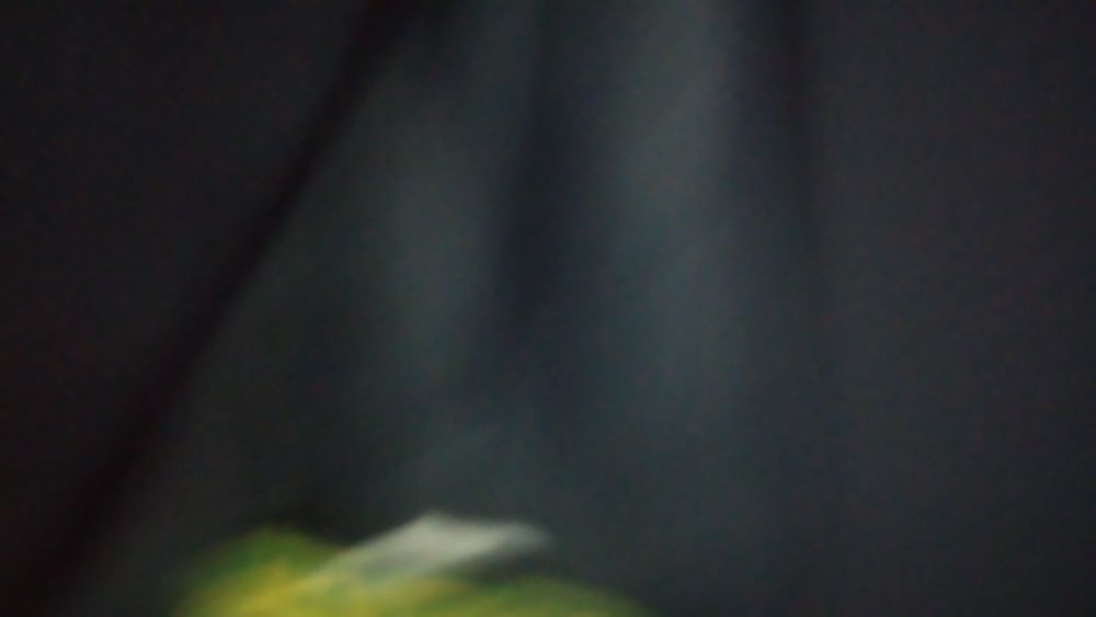 Продам школьный пиджак для девочек