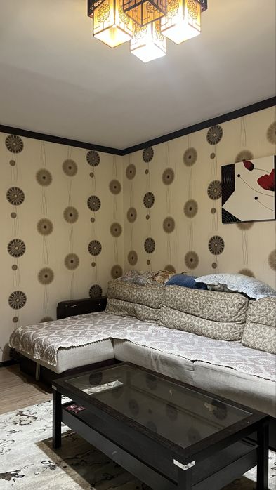 Сарайшык 5д ночь сутка