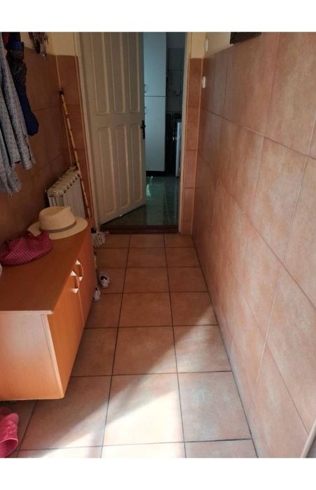 Proprietate mixtă, locuință + spații comerciale,atelier , Sântana