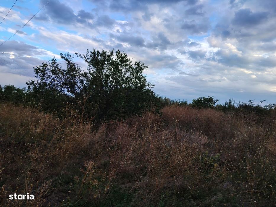 4 terenuri extravilane, 22.000 mp, in zona Verguleasa, langa Buzau