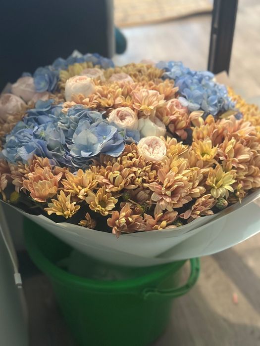Цветы купили недавно срочно