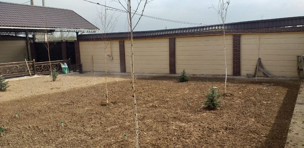 Газон Автополив !