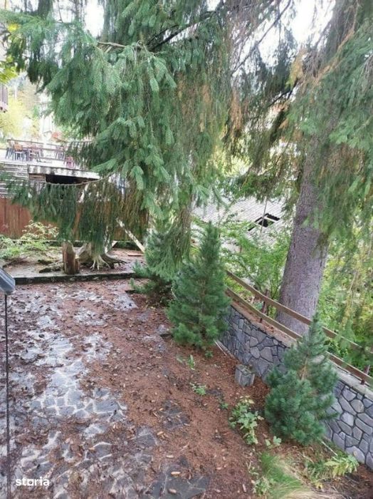 Azuga Vila De Vacanta Cu Vedere Pe Partia Sorica- Necesita Renovare