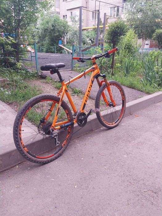 Giant rincon disc 2024