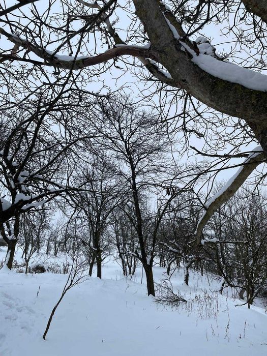 Vand Casa la tara cu CF, teren 2800 mp – Comuna Geaca, Sat Lacu