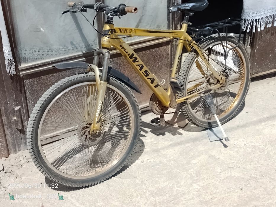 Velasapet  26  gold