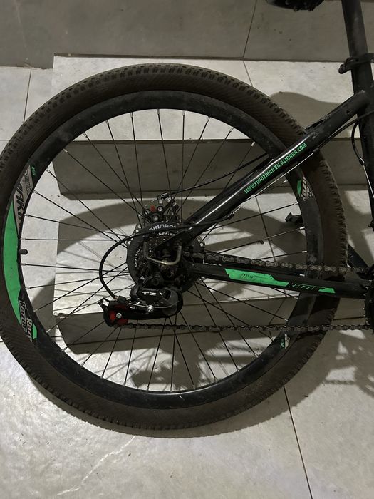 Велик макинар браль с каспий