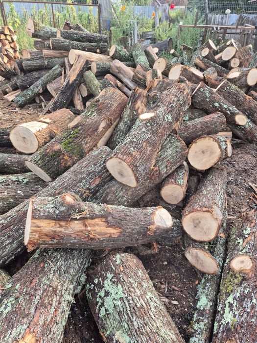 Lemne de foc doar calitate