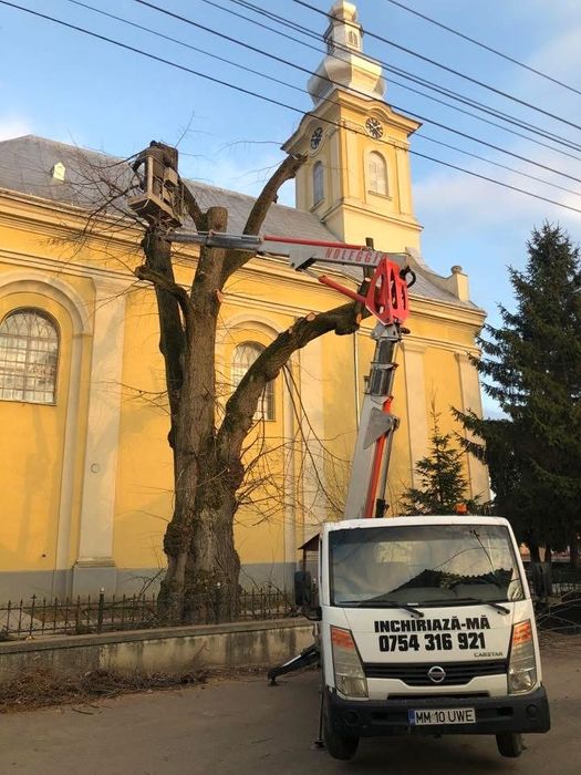 Toaletari , taiere , defrisare si cosmetizare copaci