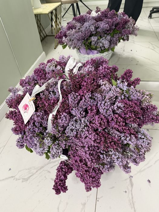 сирень 60к алынған 30к берем