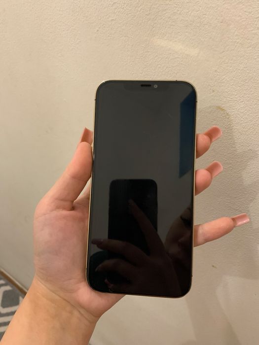 iPhone 12 pro max