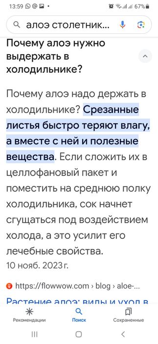 Ветки или листья алоэ столетника