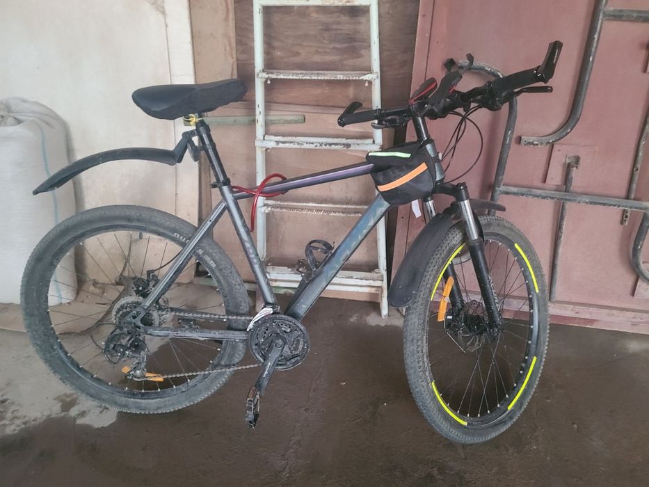 Acura sport velosipedi oganimga 3 oy bogan pup kereligiga sotvomman