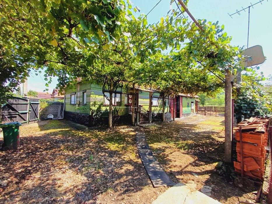 Vand Casa cu gradina