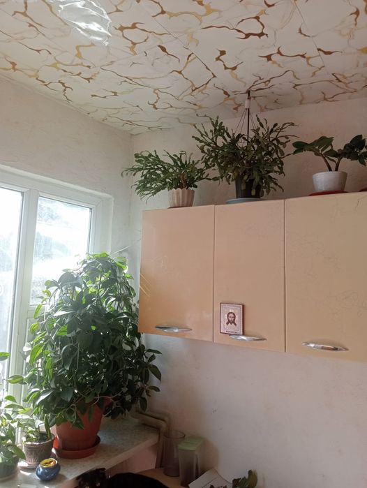 Продам 2 жилых дома