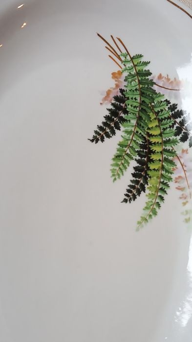 Vand 2 platouri superbe porțelan, ovale,cu model,mărimi mari