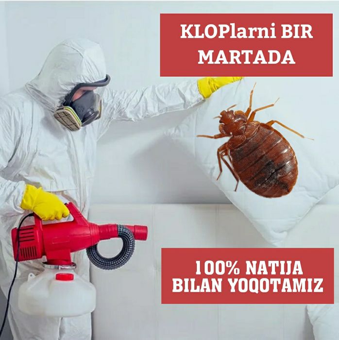 Дезинфекция дезинсекция дератизация dezinfeksiya dizenfeksiya