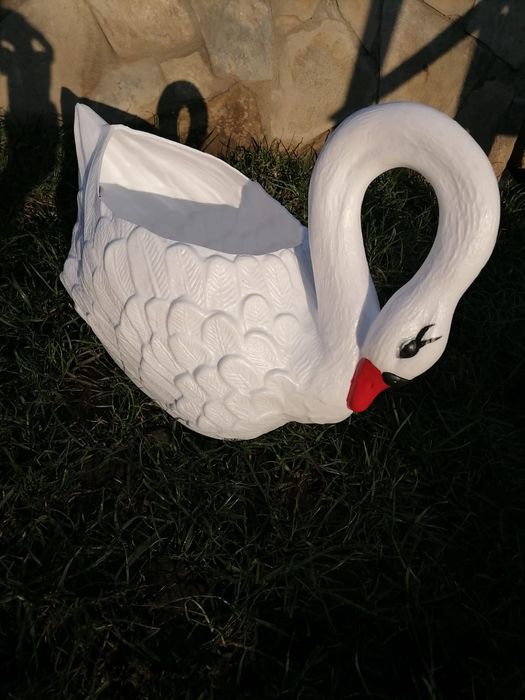 Ghiveci flori lebădă