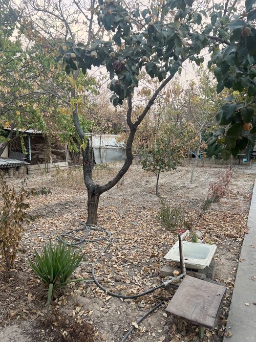 Дача Юкоричирчик, 4.2 сотки вдоль дороги