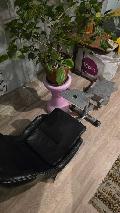 Playseat Evolution Кокпит для симрейсинга