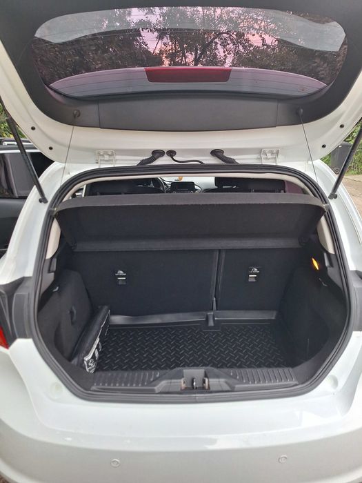 Vand Ford Fiesta 2017