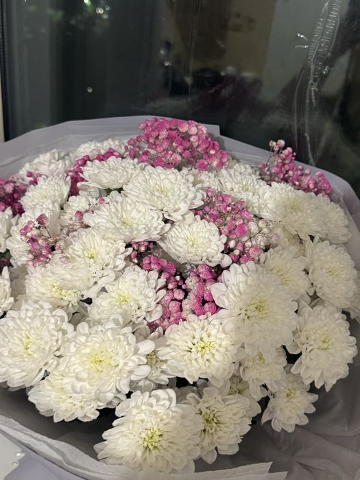 Цветы новые, вчера купил, торг ест,