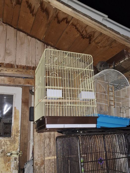 Vand colivie , voliera, cusca pentru pasari  papagali