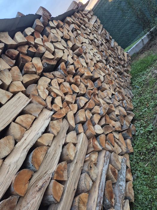 Vind lemne uscate sau verzi