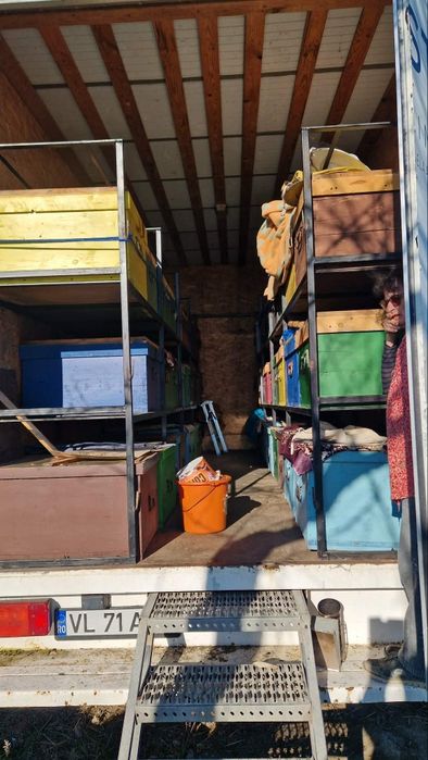 Stupină de vânzare