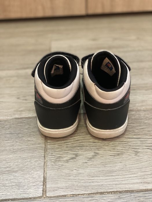 Кецове Шампион/ Champion