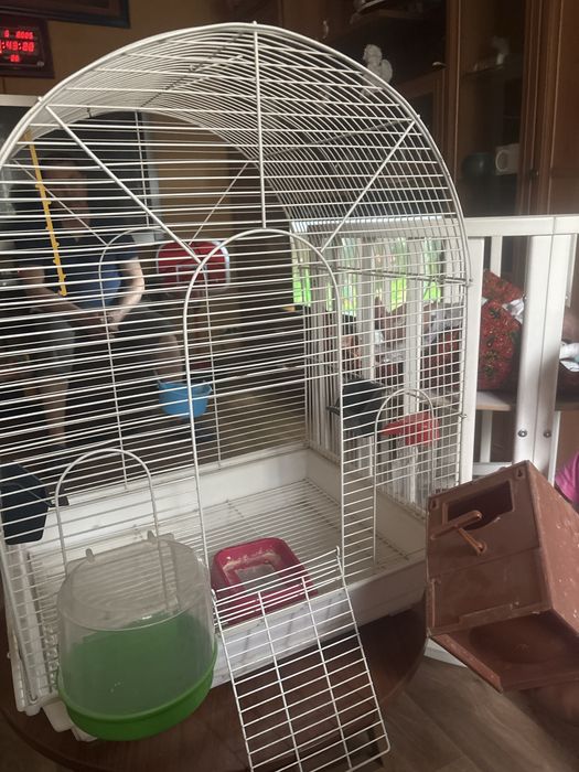 Большая клетка для попугаев