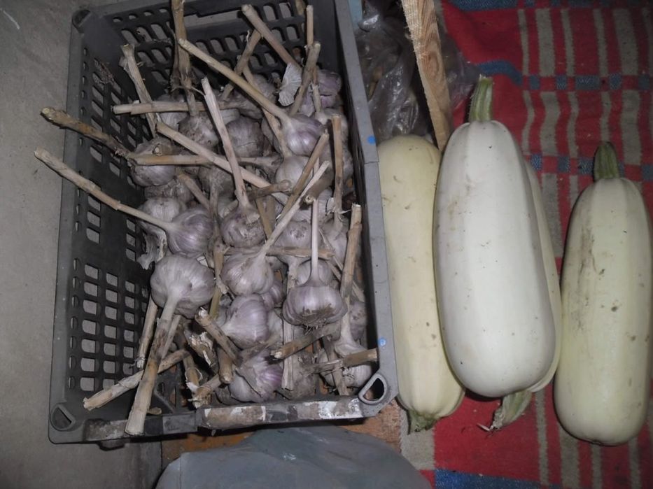 Продам дачу в СО ,, Горизонт,,