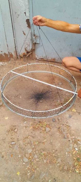 раколовки   для  собирания раков