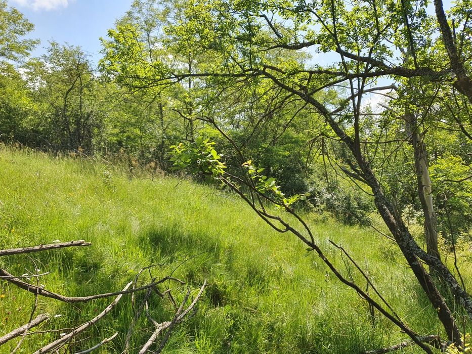 Парцел имот        .