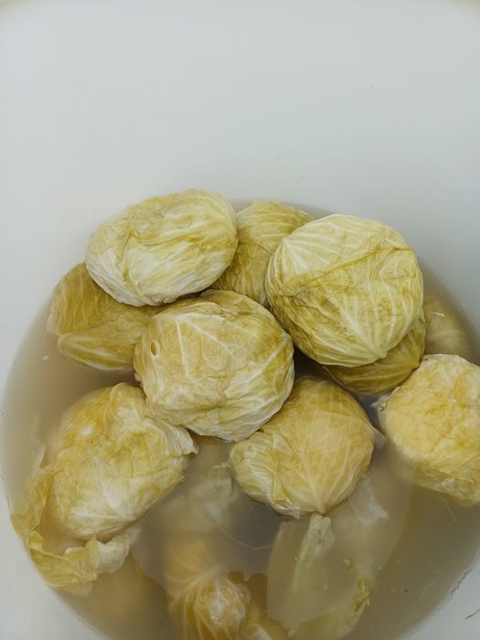 Varza Murata Natural Timisoara • OLX.ro