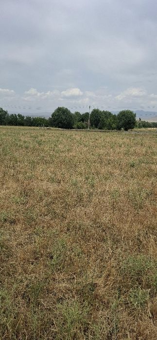 Продаю участок 10 соток в Тюлькубасе