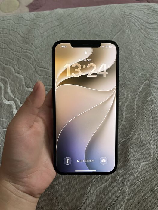 iPhone 12 pro max;256память