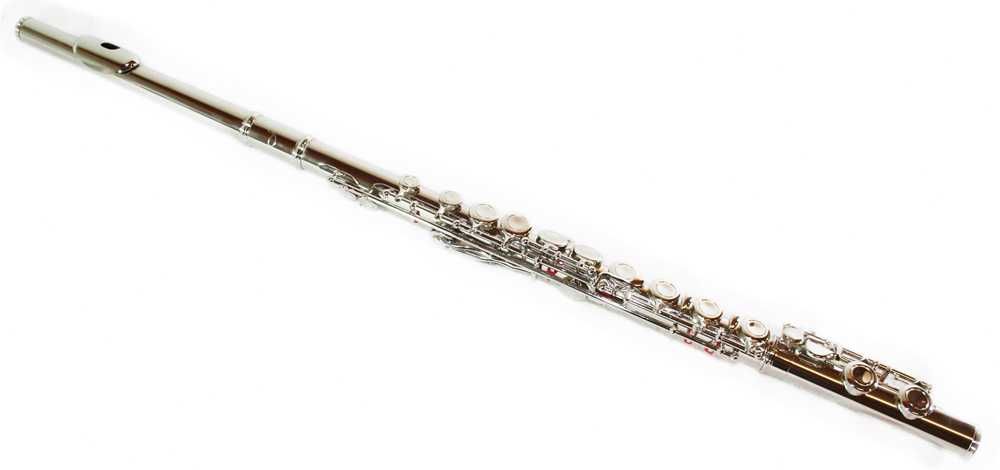 Set Flaut Parrot 6456 Silver Flute C