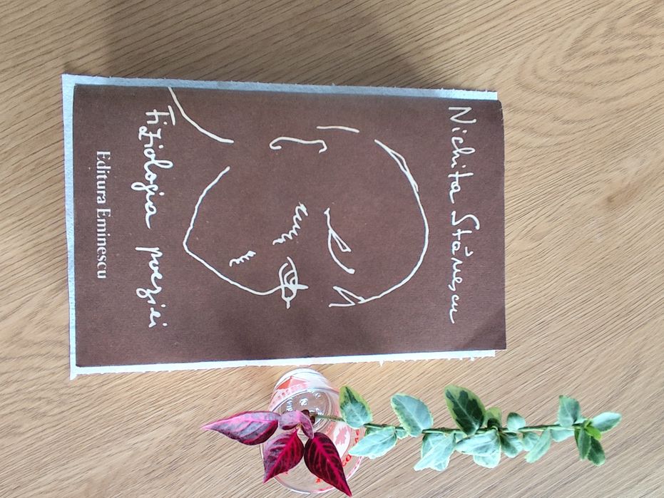 Filozofia poeziei- Nichita Stănescu