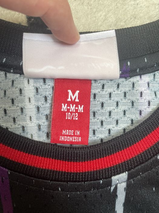 maieu nba toronto raptors