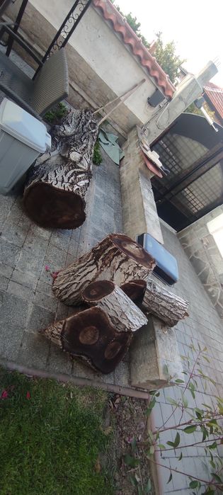 Продавам орех - дървесина / дървен материал