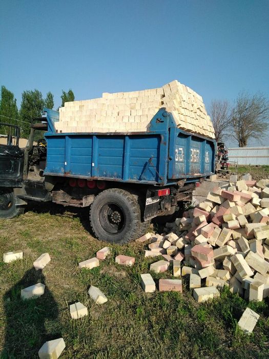 Pishgan gish dastafka