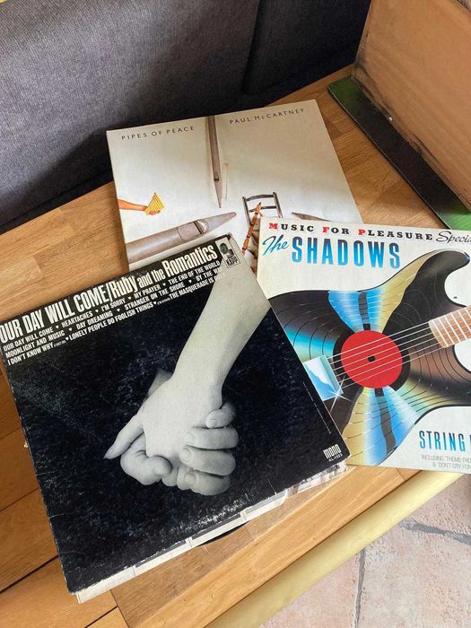 Discuri vinil - Judy Garland,F.Sinatra,J. Iglesias,Steve Miller Band